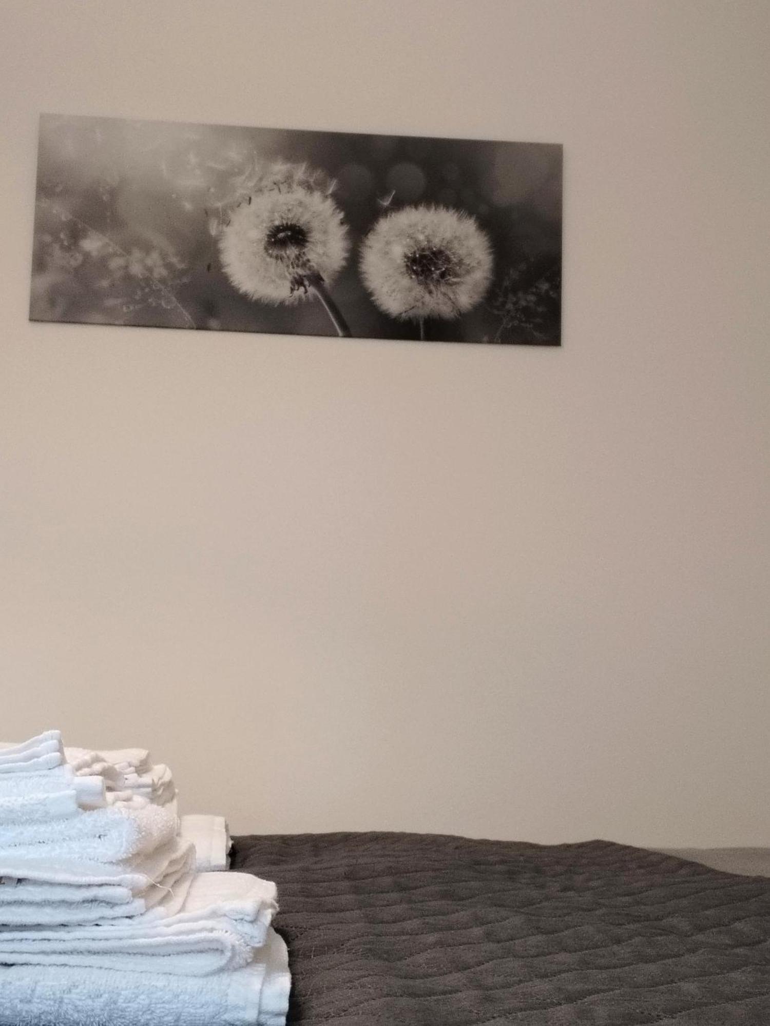 Appartamento Nonna Milde Asyż Zewnętrze zdjęcie